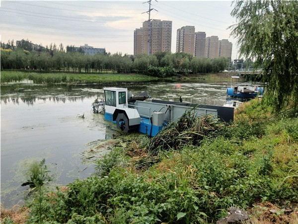 麻豆视频免费